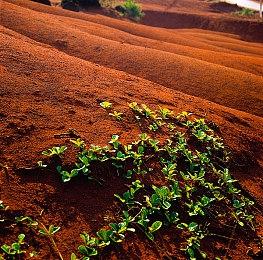 小岛秀夫新游戏宣传玩花样 新海报只换一个单词